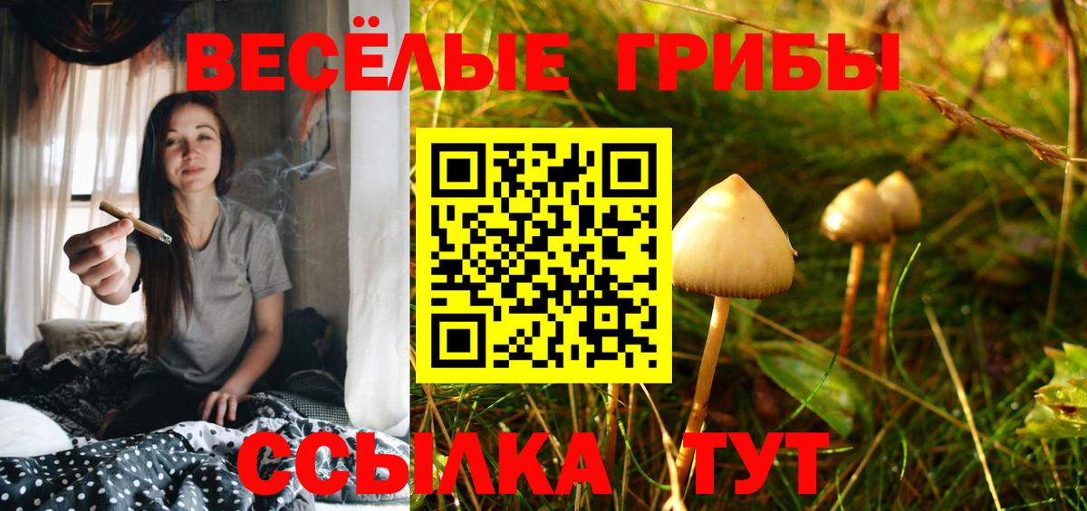 Анапа  Псилоцибиновые грибы Psilocybe  Вход с VPN 